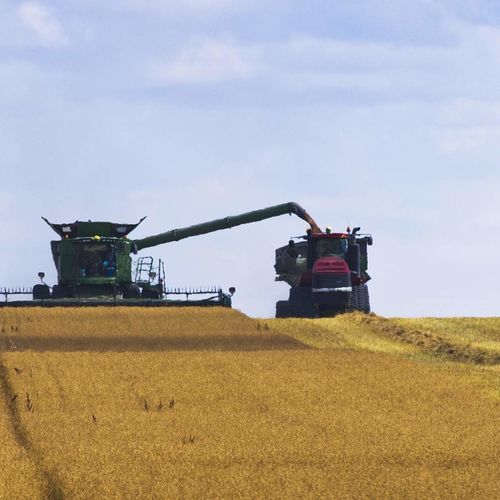 Should You Sell Your Saskatchewan Farmland Privately or With an Agent?